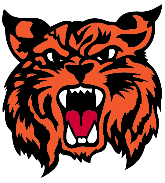 SALINE HIGH SCHOOL Logo