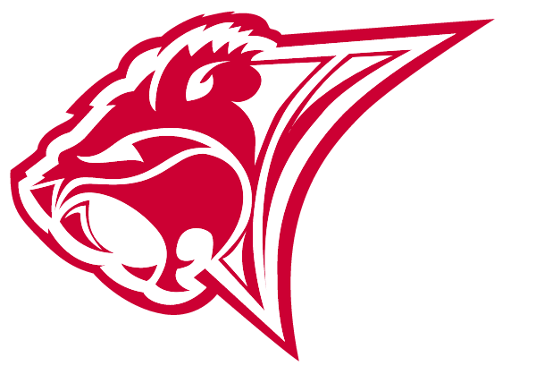 BEAVER LOCAL HIGH SCHOOL Logo