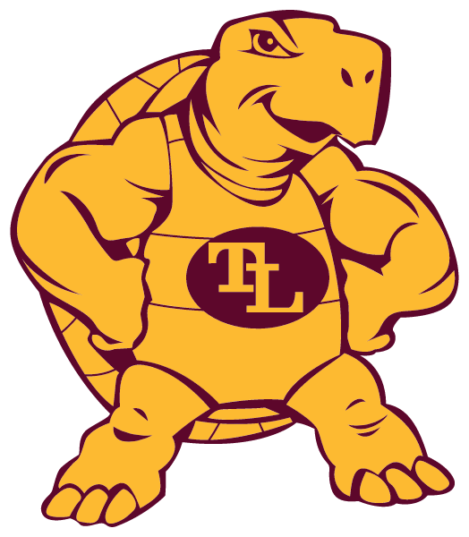 TURTLE LAKE HIGH SCHOOL Logo