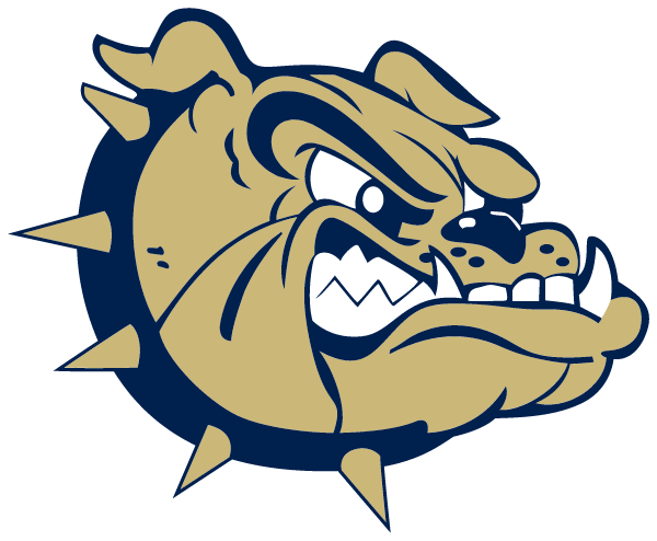 C D HYLTON HIGH SCHOOL Logo