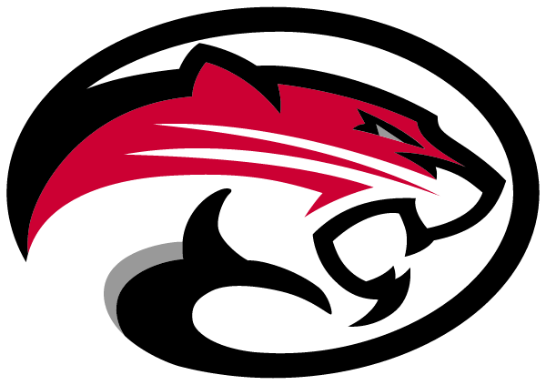 ILLINOIS VALLEY HIGH SCHOOL Logo