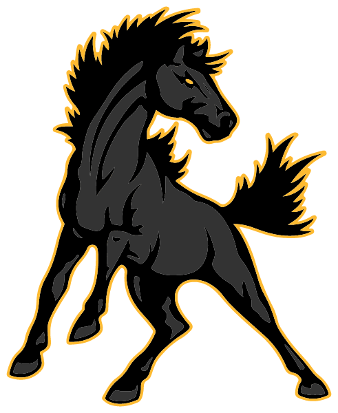 NORTHERN CAMBRIA HIGH SCHOOL Logo