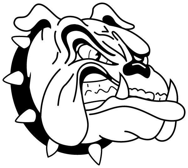 AMHERST HIGH SCHOOL Logo