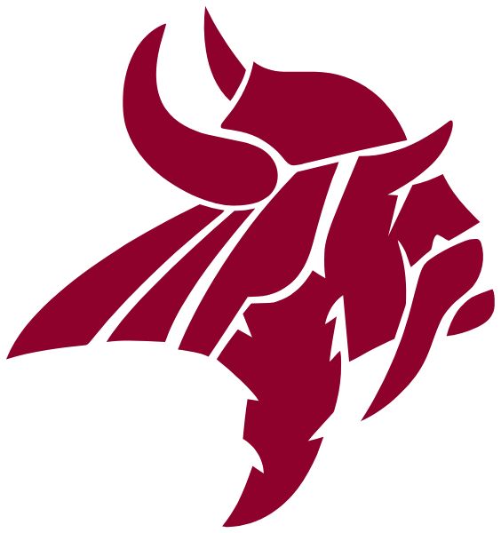 NORTHGATE HIGH SCHOOL Sideline Store Vikings (NEWNAN, GEORGIA) Spirit Apparel & Accessories Store