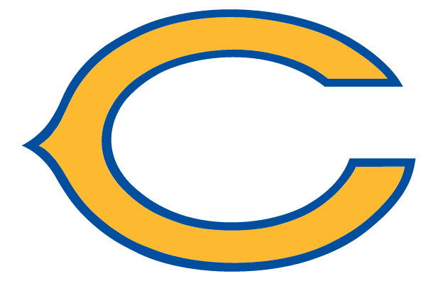 CLEARVIEW HIGH SCHOOL Logo