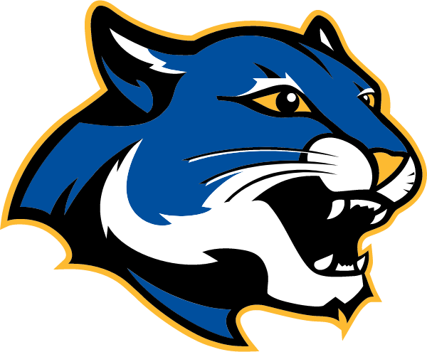 Chapel Hill Academy Logo