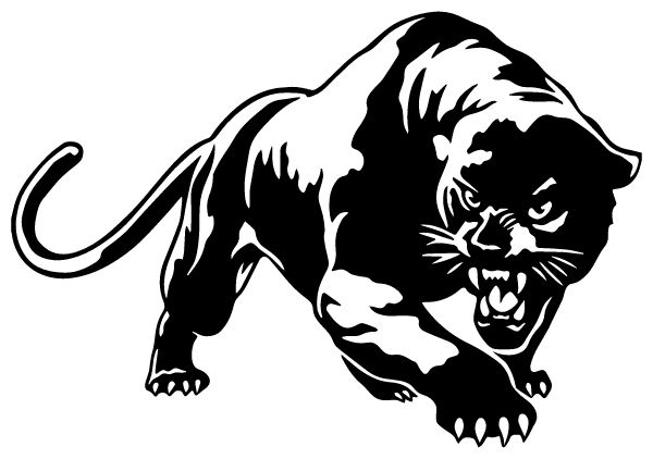 METRO ACADEMY & CLASSICAL H S Sideline Store Panthers (SAINT LOUIS, Missouri) Spirit Apparel & Accessories Store