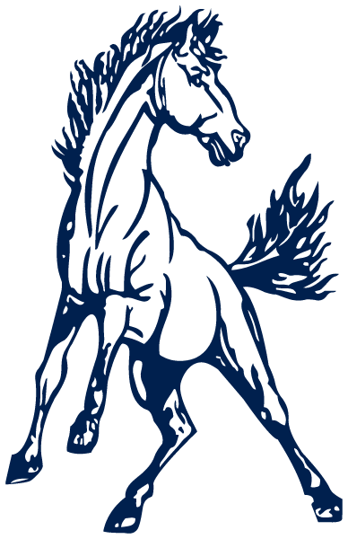 IMMACULATE HIGH SCHOOL Logo