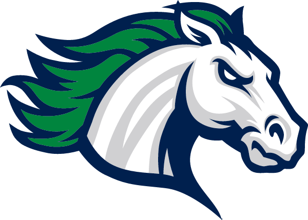 SOUTH COUNTY SECONDARY SCHOOL Logo