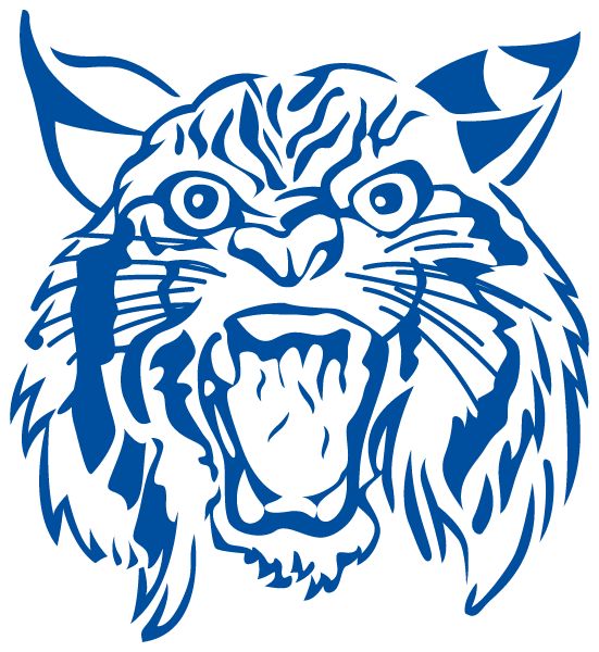 HINSDALE CENTRAL HIGH SCHOOL Sideline Store Bobcats (HINSDALE, NEW YORK) Spirit Apparel & Accessories Store