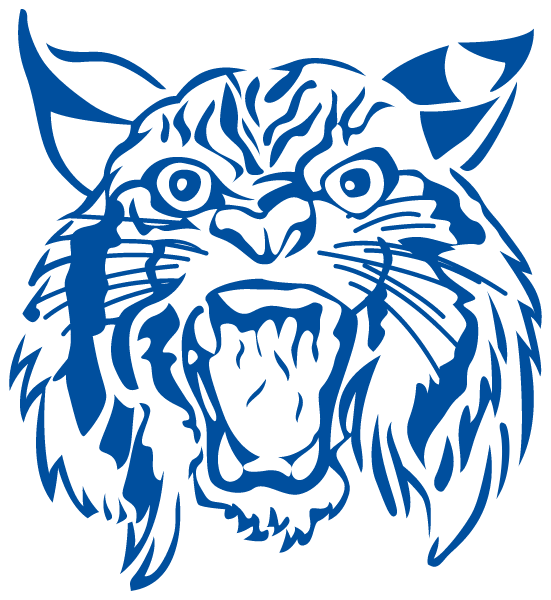 HINSDALE CENTRAL HIGH SCHOOL Logo