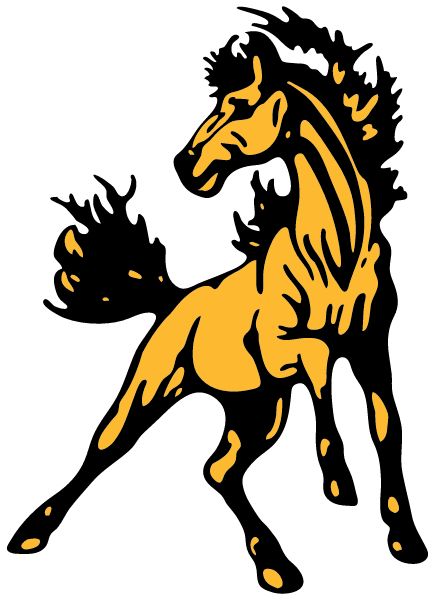 LYNCHBURG-CLAY HIGH SCHOOL Sideline Store Mustangs (LYNCHBURG, OHIO) Spirit Apparel & Accessories Store