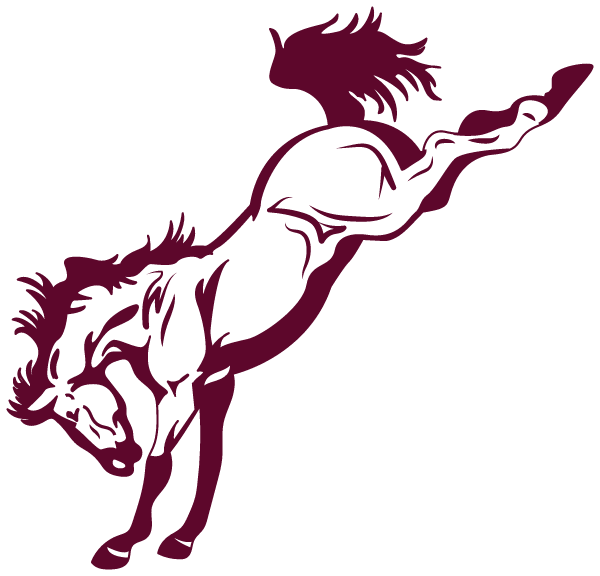 SIMPSON HIGH SCHOOL Logo