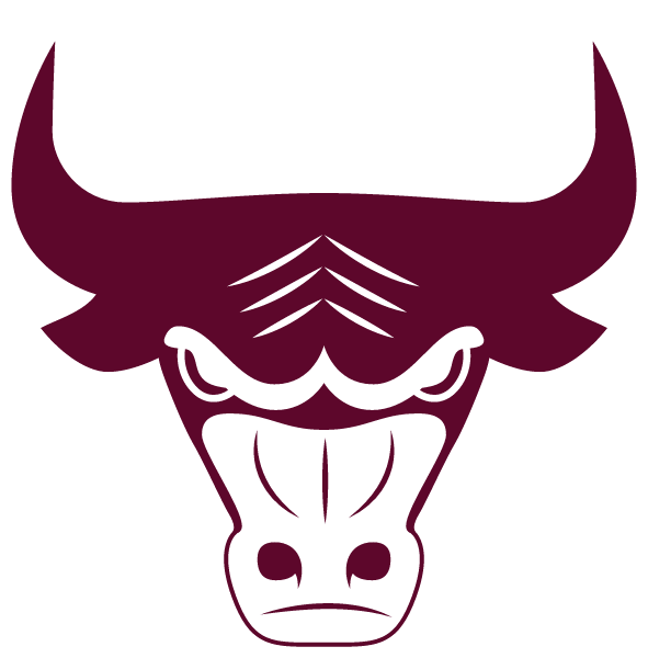 SOUTH ST. PAUL HIGH SCHOOL Logo