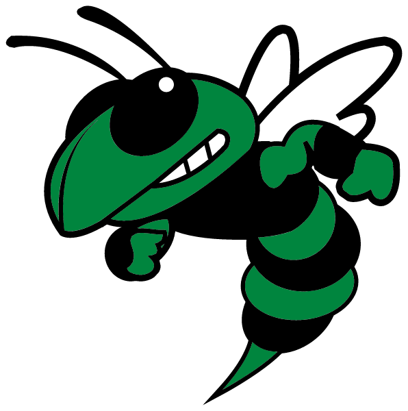 SINGER HIGH SCHOOL Logo