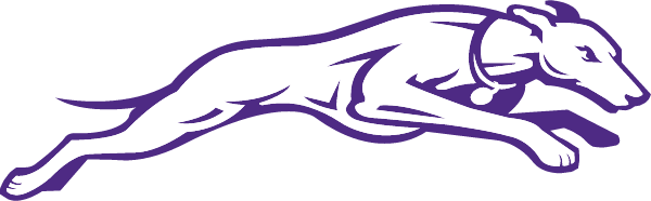LEBANON COMMUNITY HIGH SCHOOL Logo