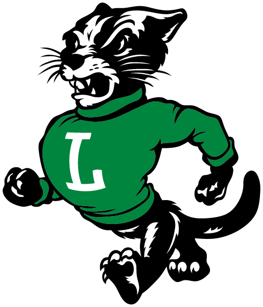 LELAND COMMUNITY HIGH SCHOOL Logo