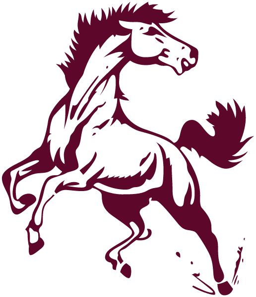 PIONEER HIGH SCHOOL MUSTANGS - WAUKOMIS, OKLAHOMA - Sideline Store