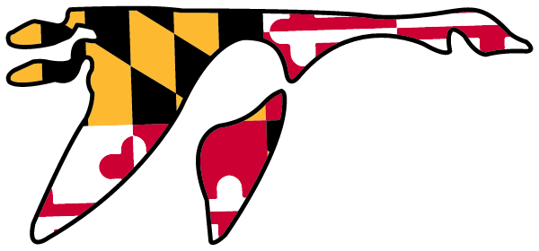 Washington College Logo