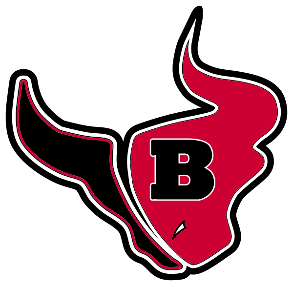 BLOOMINGDALE SENIOR HIGH SCHOOL Logo