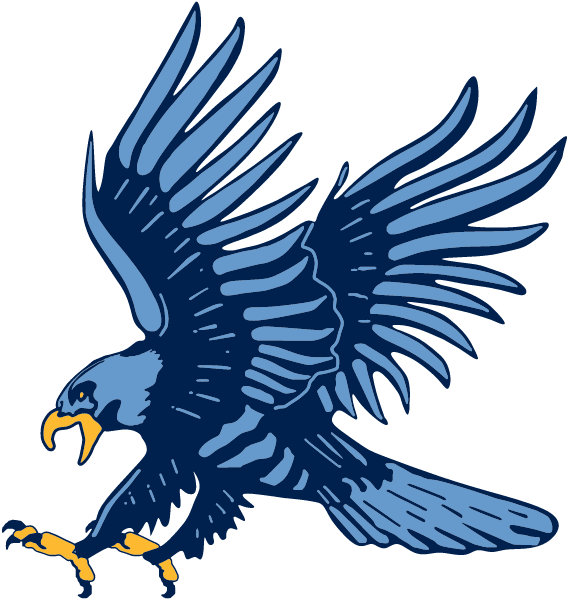 HUDSON HIGH SCHOOL Logo