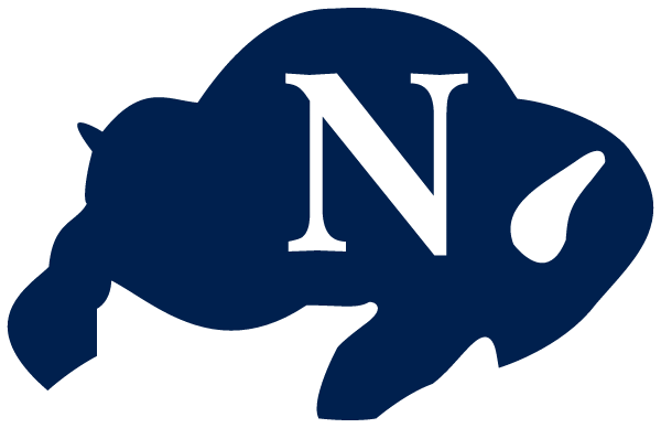 NEWPORT HIGH SCHOOL Logo
