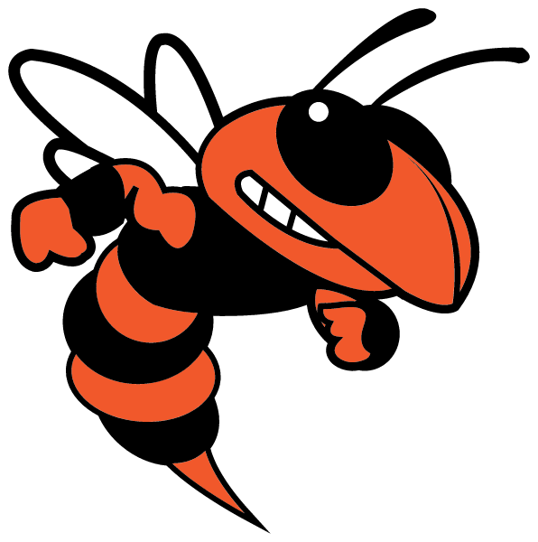 DECLO HIGH SCHOOL Logo