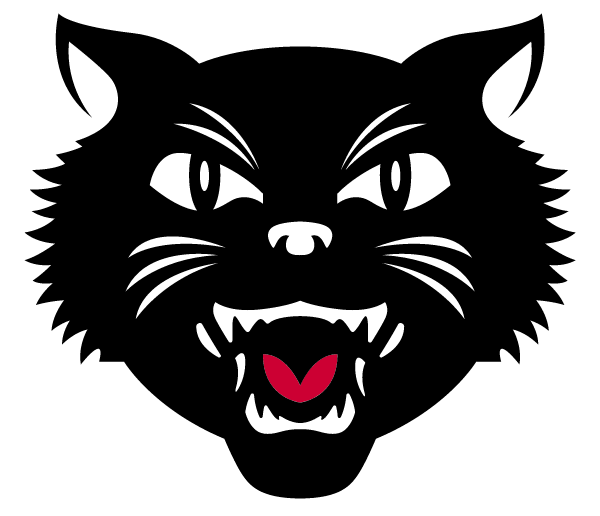 EAST AURORA HIGH SCHOOL Logo