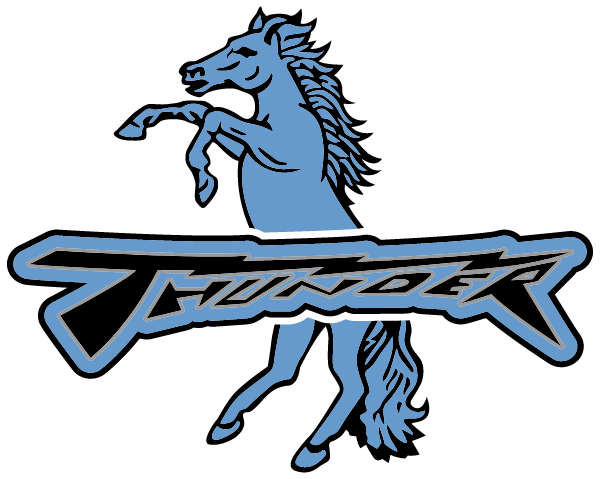 LAKE REGION HIGH SCHOOL Logo