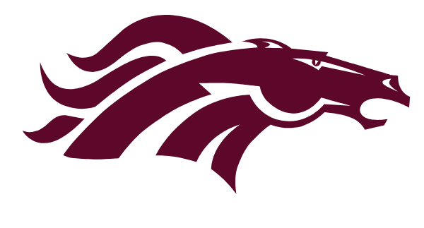 MAPLE HEIGHTS HIGH SCHOOL Logo