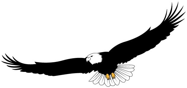 HEARNE HIGH SCHOOL Sideline Store Eagles (HEARNE, TEXAS) Spirit Apparel & Accessories Store