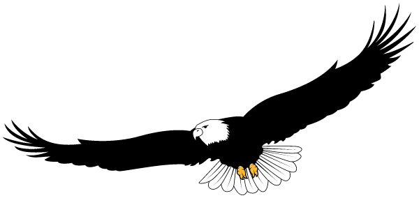 HEARNE HIGH SCHOOL Logo