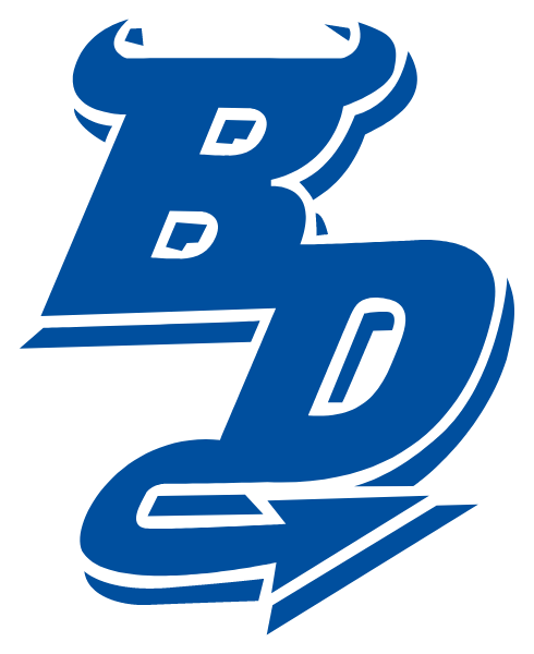 VIRGINIA HIGH SCHOOL Logo