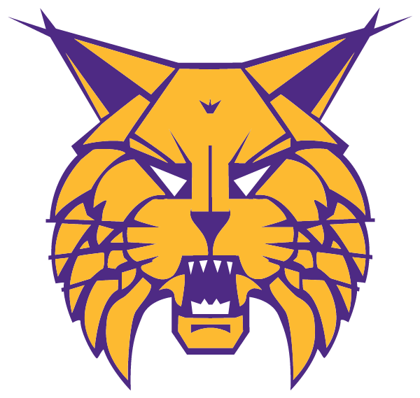 WEBSTER CITY HIGH SCHOOL Logo