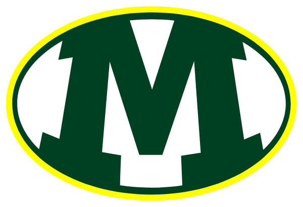 MEDINA HIGH SCHOOL Logo