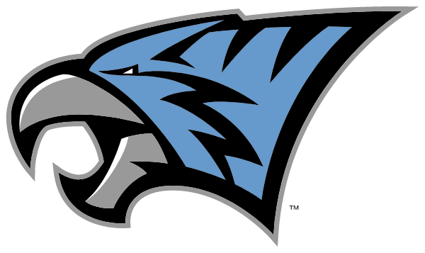 NORTH FAYETTE HIGH SCHOOL Logo
