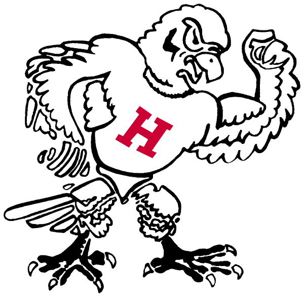 HOLLIDAY HIGH SCHOOL Logo