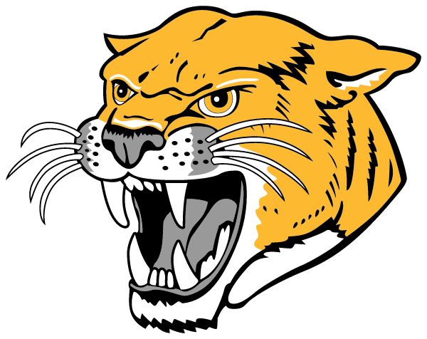 ILLINI CENTRAL HIGH SCHOOL Sideline Store Cougars (MASON CITY, Illinois) Spirit Apparel & Accessories Store