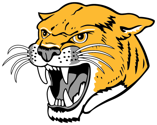 ILLINI CENTRAL HIGH SCHOOL Logo