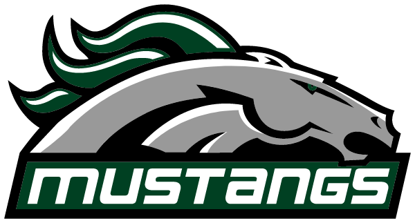 STEPHEN F AUSTIN HIGH SCHOOL Logo