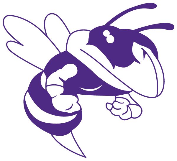 HOLCOMB HIGH SCHOOL Sideline Store Hornets (HOLCOMB, MISSOURI) Spirit Apparel & Accessories Store