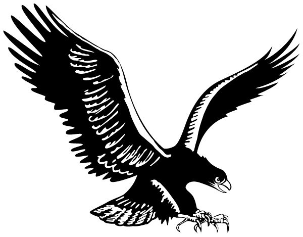 BRANDON HIGH SCHOOL Sideline Store Blackhawks (ORTONVILLE, MICHIGAN) Spirit Apparel & Accessories Store