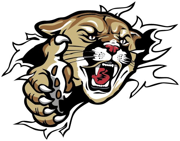DIRIGO HIGH SCHOOL Sideline Store Cougars (DIXFIELD, Maine) Spirit Apparel & Accessories Store