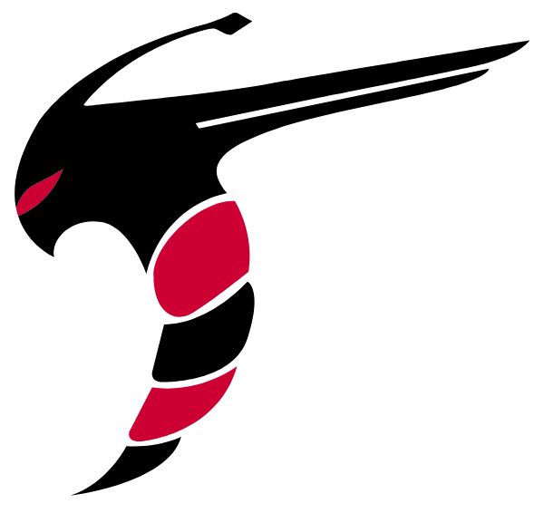 LOYD STAR HIGH SCHOOL Logo