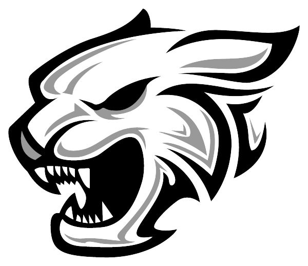 SCHLEY COUNTY HIGH SCHOOL Sideline Store Wildcats (ELLAVILLE, GEORGIA) Spirit Apparel & Accessories Store