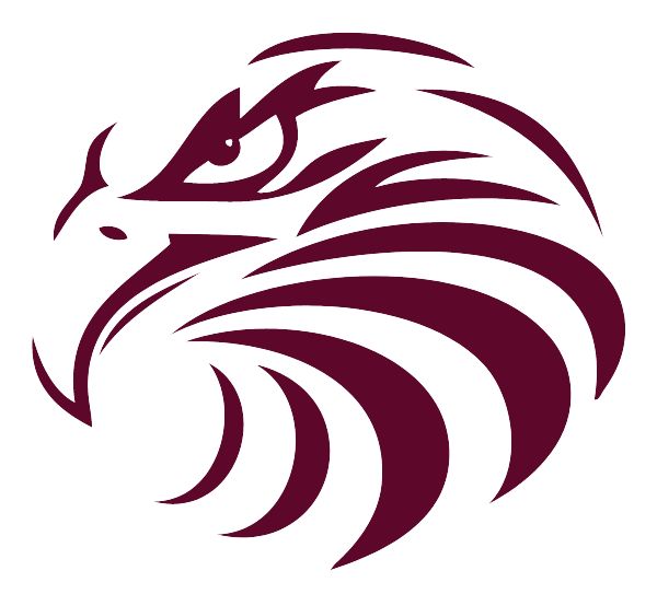 CARMEN HIGH SCHOOL OF SCIENCE TECHNOLOGY Sideline Store Eagles (MILWAUKEE, WISCONSIN) Spirit Apparel & Accessories Store