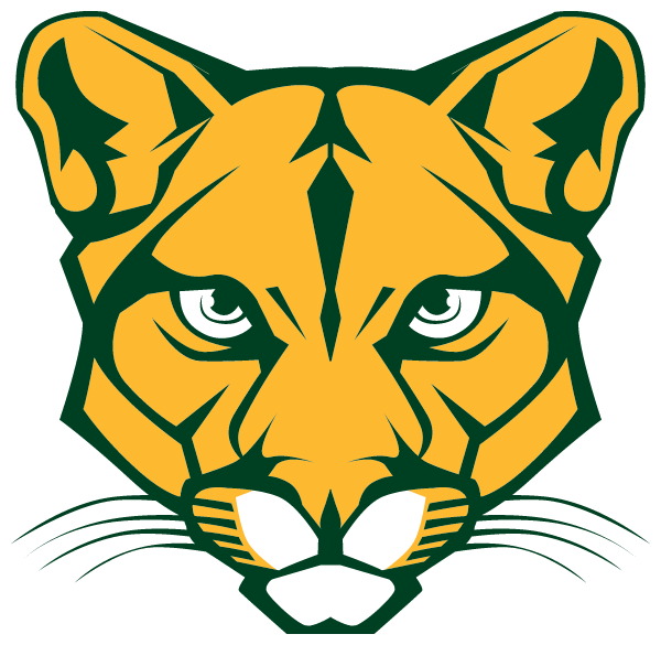BLACKHAWK HIGH SCHOOL Logo