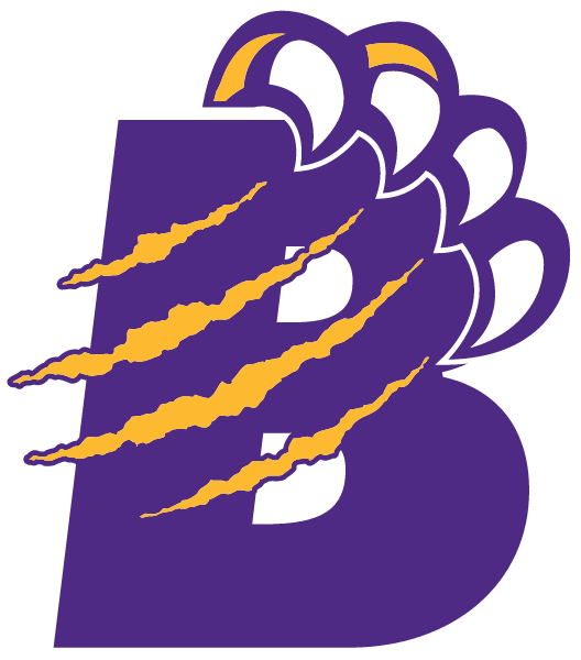 BRADLEY HIGH SCHOOL Logo
