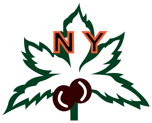 NELSONVILLE-YORK HIGH SCHOOL Logo