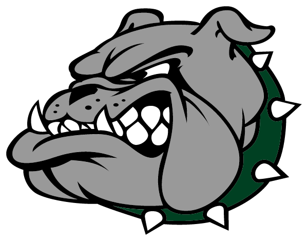 LINDENHURST HIGH SCHOOL Logo